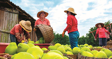 產(chǎn)業(yè)特色